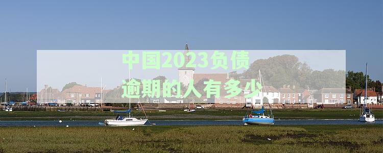 中国2023负债逾期的人有多少