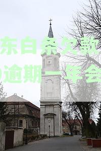 京东白条欠款1000逾期一年会怎样