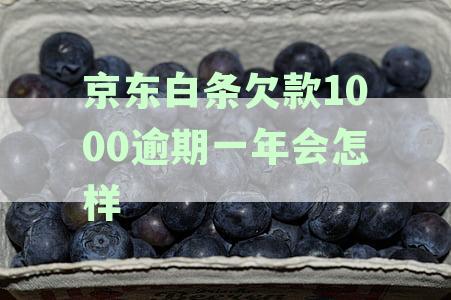 京东白条欠款1000逾期一年会怎样