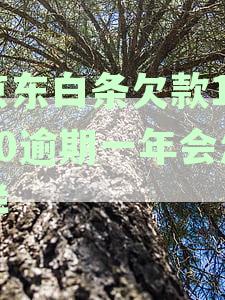 逾期半年不还款，是否会影响个人征信并成为失信者？
