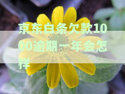 逾期一千，如何解决还款问题？逾期后的影响和解决方案全解析！
