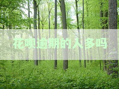 花呗逾期现象探析：中国用户不还情况及其影响因素
