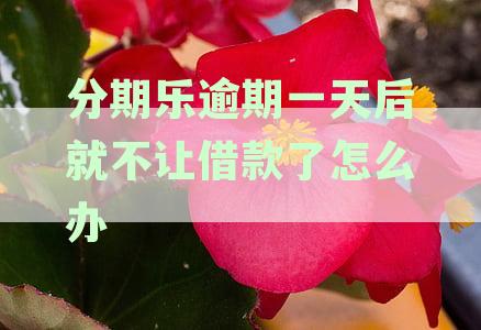 分期乐逾期一天未还款的后果与解决办法：用户全面指南