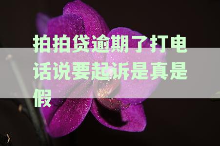 拍拍贷逾期后的电话威胁：真实性、起诉还是诈骗？