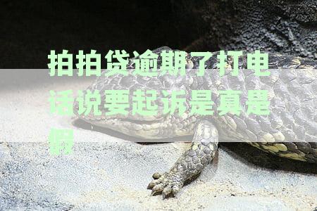 拍拍贷逾期90天，是否会真的被法院起诉？逾期后果及解决方案一文解析