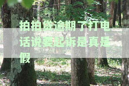 拍拍贷逾期起诉并让法院抓人是真的吗？我应该怎么办？