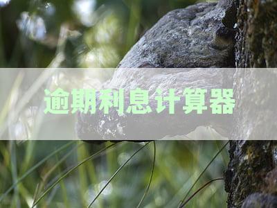 逾期利息计算器2022最新：在线计算，还款利息，贷款利息