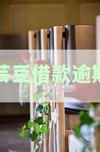 芸豆借款逾期多久爆通讯录：处理方法与应对策略