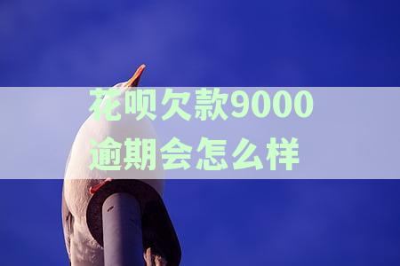 花呗欠款9000逾期半年，对方威胁起诉，如何应对？