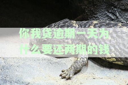 关于你我贷逾期两天是否需要一次性还清尾款的探讨