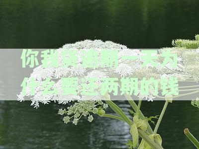 你我贷逾期一天是否会进入征信系统？了解详细情况及影响因素