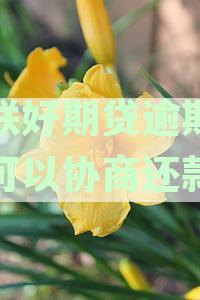 招联好期贷逾期三年后，探讨协商还款的可行性和策略