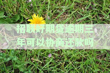 招联好期贷逾期3年，如何制定还款计划并解决拖欠问题？