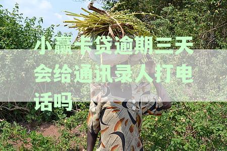 小赢卡贷逾期三天未还款，如何与家人沟通并制定还款计划？