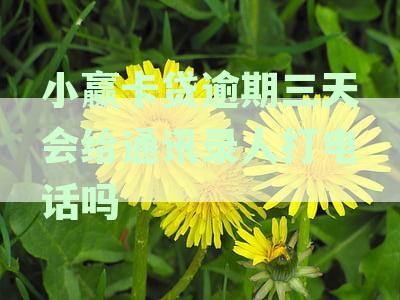 小赢卡贷逾期两天：是否会联系家人？具体操作流程和后果解析