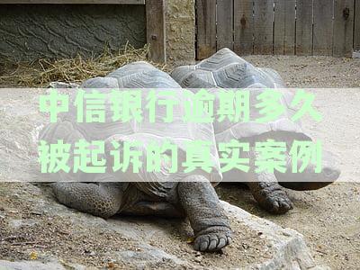 中信银行逾期多久被起诉的真实案例：时间、结果与启示