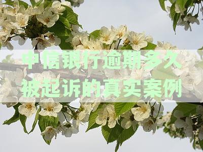 中信银行逾期多久被起诉的真实案例