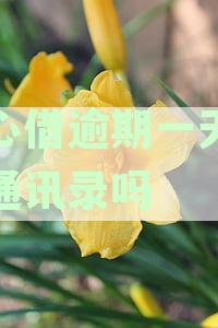 处理借款逾期一天的担忧：如何避免通讯录被爆