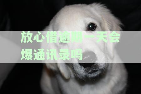 放心借逾期几天会打联系人电话吗？家人会被通知吗？