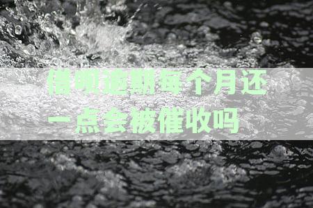 如何避免因逾期还款而被借呗起诉？每个月只还一部分是否可行？