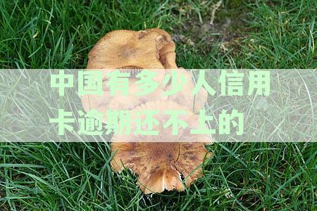 2020年全国信用卡逾期还款人数揭秘：揭示这一群体的信用现状