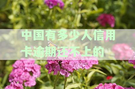 全国信用卡逾期率调查：有多少人使用信用卡？逾期情况如何？