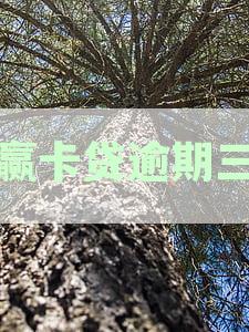 小赢卡贷逾期三天是否会联系通讯录联系人？逾期后的后果及应对措解析