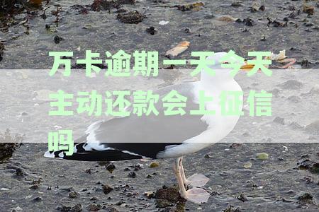 万卡逾期一天今天主动还款会上征信吗有影响吗：如何避免逾期影响