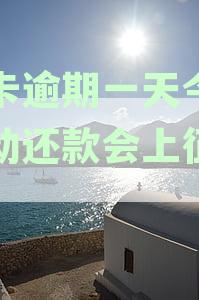 万卡逾期一天后续：主动还款是否可行？第二资讯解析