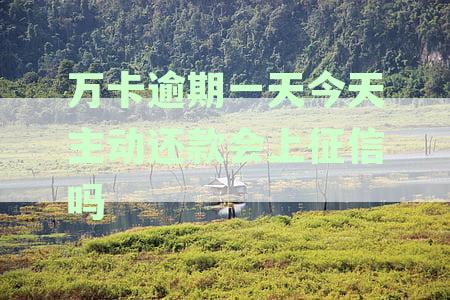 万卡晚一天还款会怎么样：处理流程与逾期影响