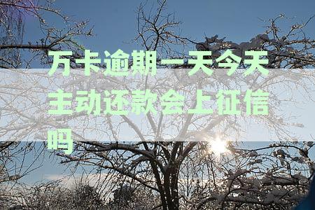 万卡逾期一天今天主动还款会上征信吗