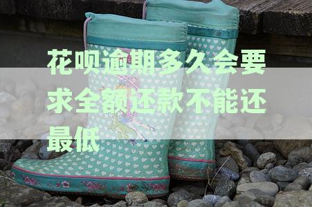 花呗逾期多久会让全额还款：逾期后，花呗会在第几天要求全额还款？