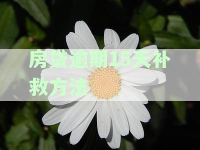 当房贷逾期15天时，您应该采取什么措？这里有全面的解决方案供您参考。