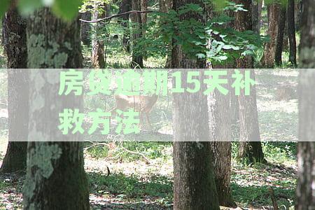 房贷逾期十多天可能产生的影响及其应对策略：全面解析与解答