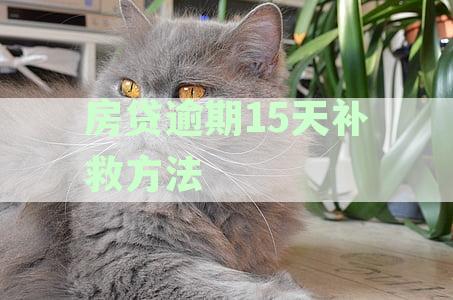 房贷逾期15天补救方法