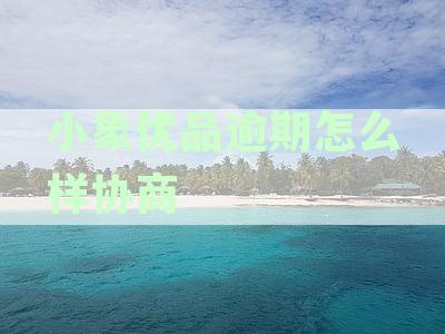小象优品逾期协商期还款一年多仍无法偿还，可以只还本金吗？