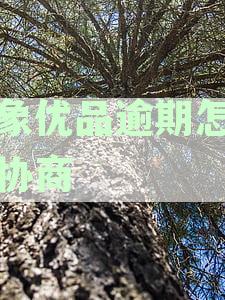 小象优品逾期怎么样协商