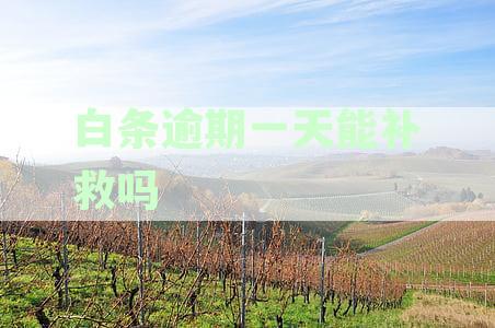 白条逾期一天怎么办？如何尽快解决逾期问题并避免影响信用记录？