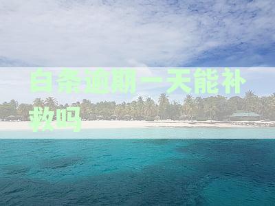 白条逾期一天的后果及补救措：如何安全应对？