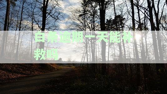 白条逾期一天会怎么办：请尽快还款以免影响个人信用记录。