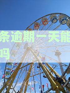 白条逾期一天对客户产生的影响及是否会导致永久停用