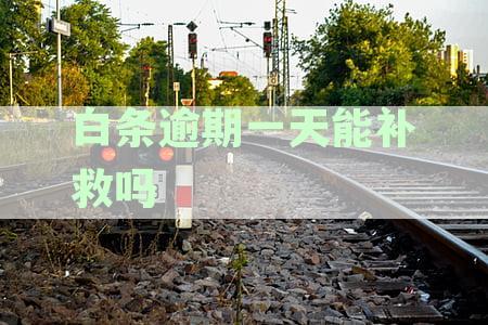 白条逾期一天能补救吗
