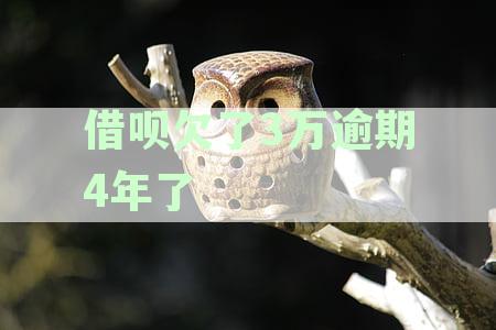 借呗3万逾期4年：从还款困境到解决方案