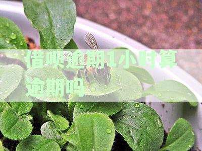 借呗逾期1小时算逾期吗