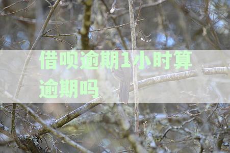 支付宝借呗逾期一小时是否会导致永久性功能禁用？