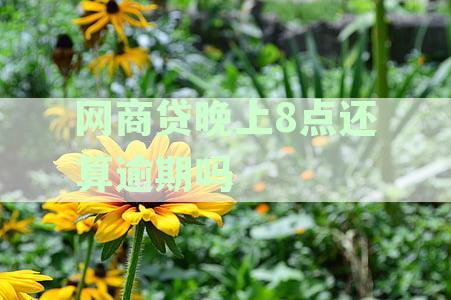 晚上8点还款算逾期吗？网商贷10点后显示逾期怎么办？