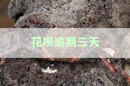 花呗逾期三天上征信吗？逾期后果有哪些？如何解决花呗逾期问题？