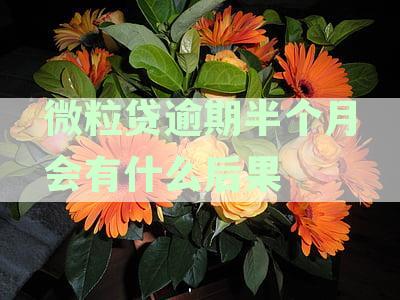 微粒贷逾期半个月后果严重，家人是否会受到影响？