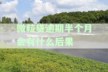 微粒贷逾期半个月说起诉我：处理方法和后果