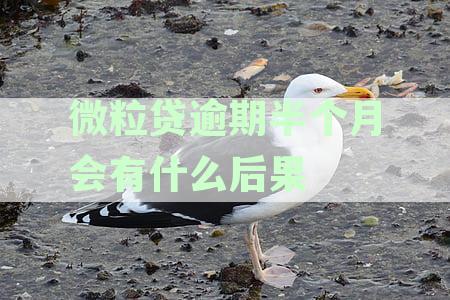 微粒贷逾期15天后的还款及再次借款处理方式全解析，助您顺利解决问题！